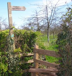 Ledbury Town History of Transport Walk - Ledbury Walk