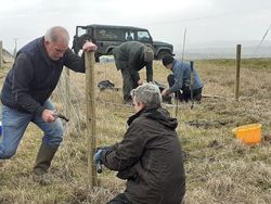 The Worcester and Malvern RSPB Group  - RSPB