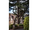 All About Malvern's Marvellous Trees