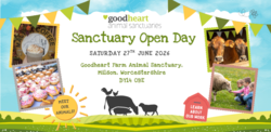 Animal Sanctuary Summer Open Day