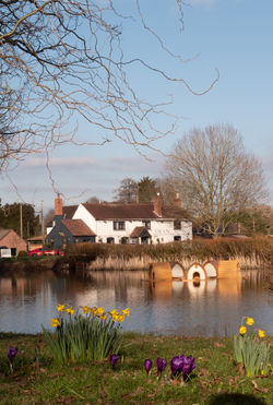 Hanley Duck Pond - Hanley Swan