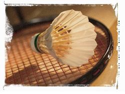 Malvern Hills Badminton Summer Club (May to Aug)