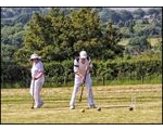 Anyone for Croquet?