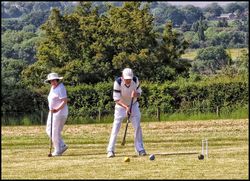 Anyone for Croquet? - Croquet
