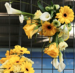 Malvern Floral Art Club -