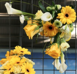 Malvern Floral Art Club - 