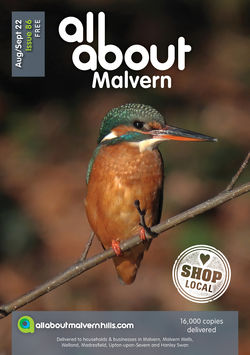 All About Malvern Aug/Sept 2022 - All About Magazines