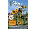 All About St John's & Villages Aug/Sept 2025