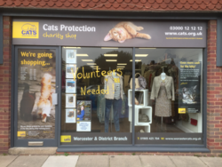 Cats Protection Malvern Shop - 