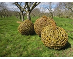 Willow Weaving with Victoria Westaway in Coddington