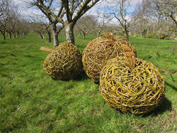 Willow Weaving with Victoria Westaway in Coddington - 