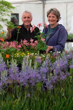 Green Fingers in early Spring - Green Fingers