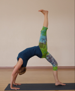 Hilly Yoga : Classes in Malvern