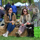 Malvern Autumn Show - 