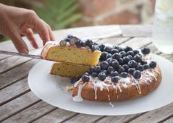 Meg's Recipe: Almond & Blueberry Torte - Roots Family Farm Shop