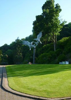 Day 170 - 19 June - Malvern Buzzards Sculpture summer 