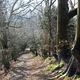 Walk 4 - A Magical Tour on the Malverns - Path on Malvern Hills