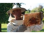 All About Beekeepers