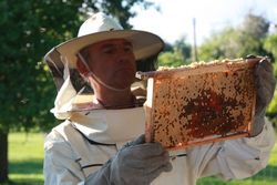 All About Beekeepers - Beekeepers