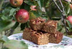 Roots Autumn Apple Cake - Roots Family Farm Shop