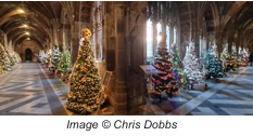 Worcester Cathedral's Christmas Tree Festival