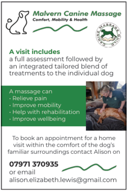 Malvern Canine Massage