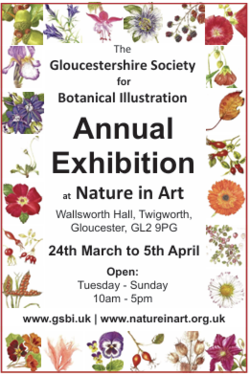 Botanical Illustration Exhibition 2026