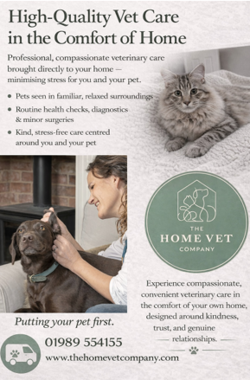 The Home Vet Company