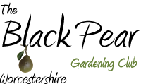 The Black Pear Gardening Club -
