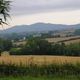 Walk 16 - Near Ledbury - Malvern Hills