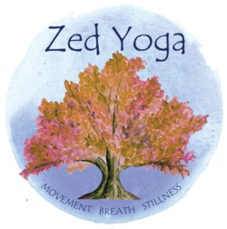 Zed Yoga by Zoe Herington